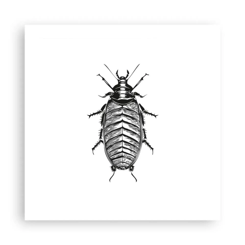 Plakat - Sikke et eksemplar! - 50x50 cm