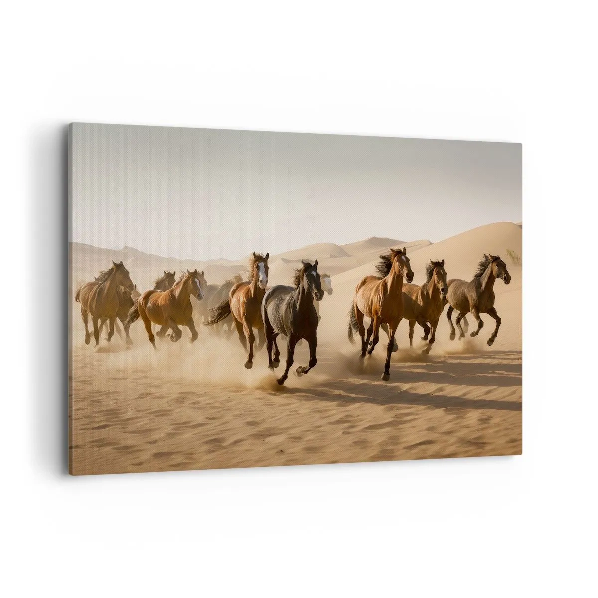 Lærredstryk - Billede på lærred - Fri som vinden - 100x70 cm