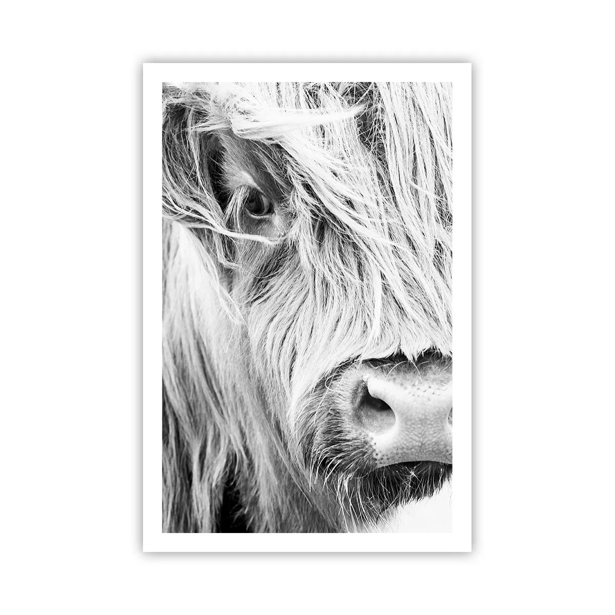 Plakat - Skotsk vildmark - 61x91 cm
