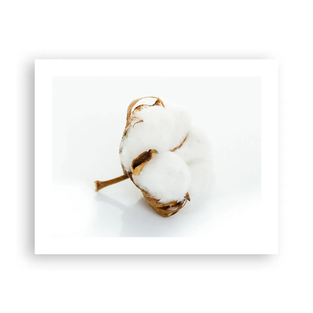 Plakat - Blød af natur - 50x40 cm