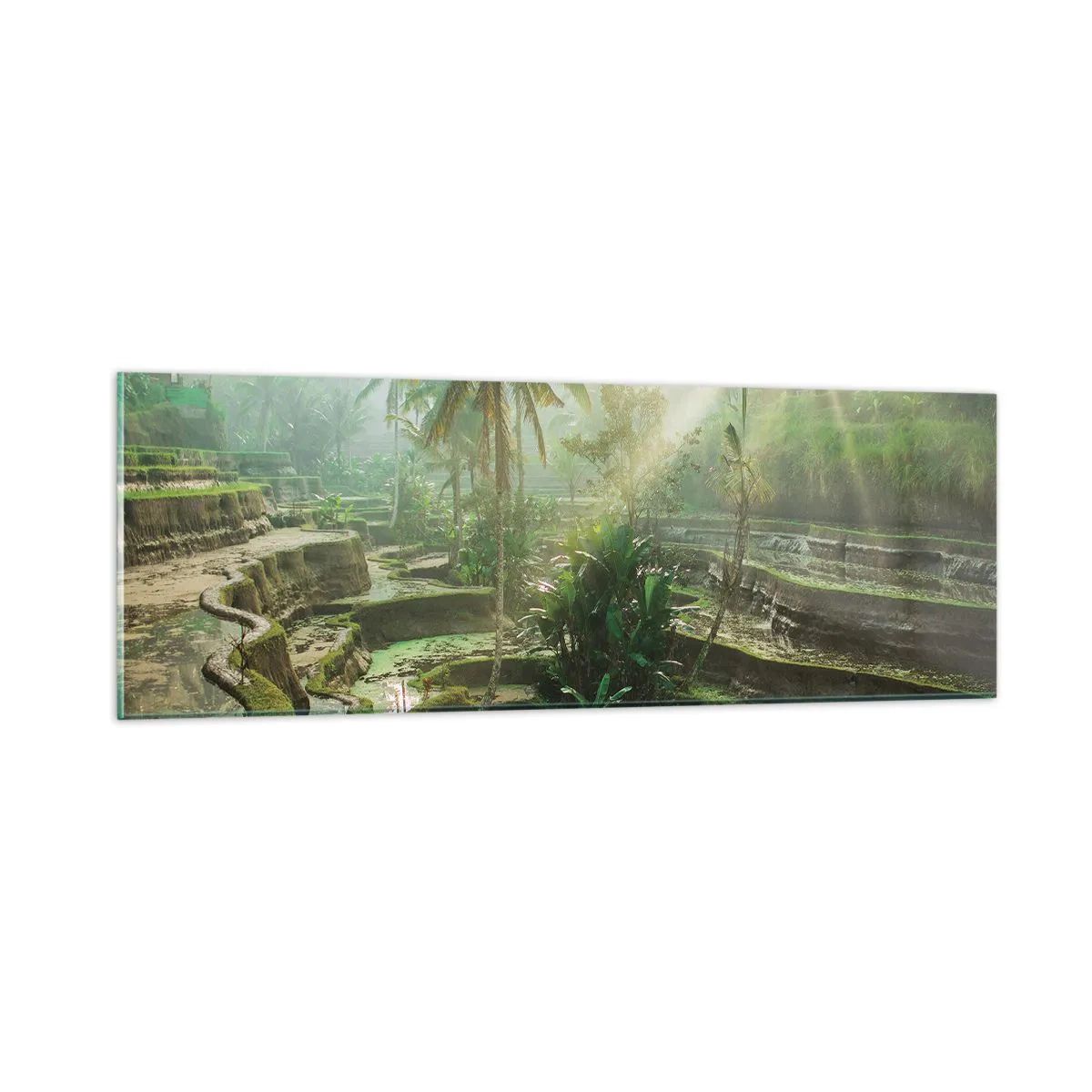 Billede på glas - Voksende op i solen - 90x30 cm