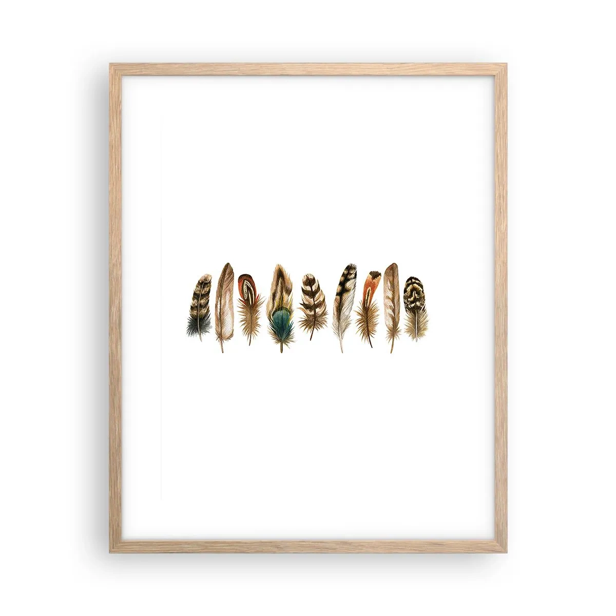 Plakat i ramme af lyst egetræ - Variation med fjer - 40x50 cm