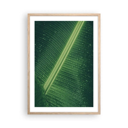 Plakat i ramme af lyst egetræ - Grøn struktur - 50x70 cm