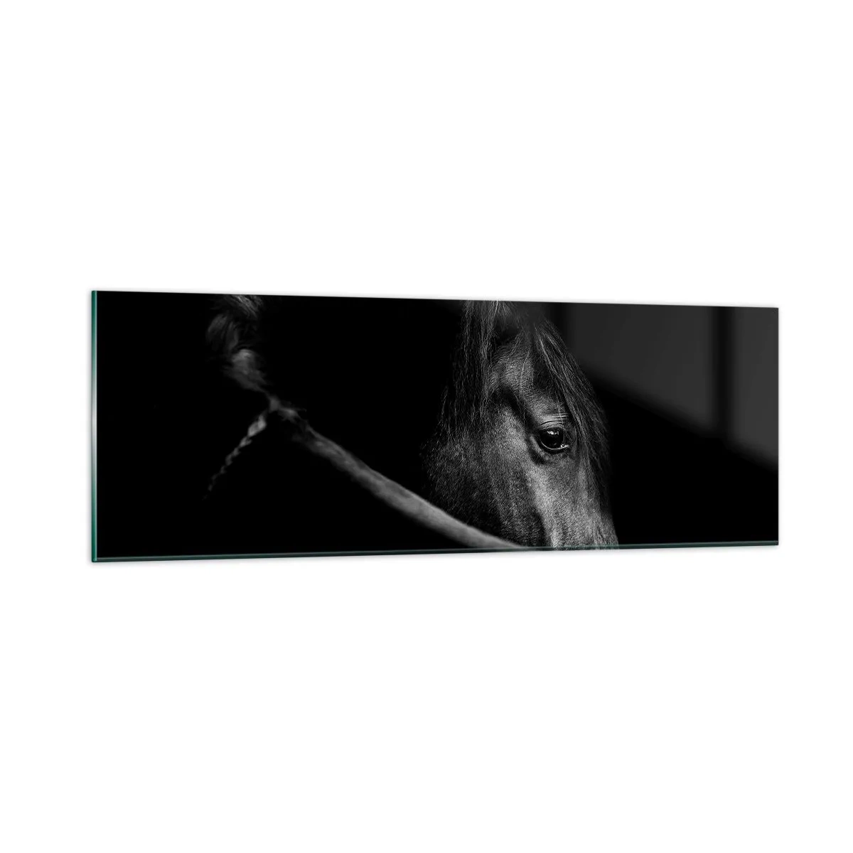 Billede på glas - Sort prins - 90x30 cm