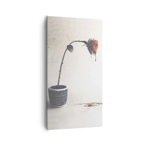 Lærredstryk - Billede på lærred - Rosa dolorosa - 55x100 cm