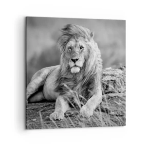 Lærredstryk - Billede på lærred - Kongelig siesta - 50x50 cm