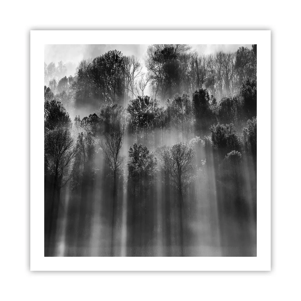 Plakat - I stråler af lys - 60x60 cm