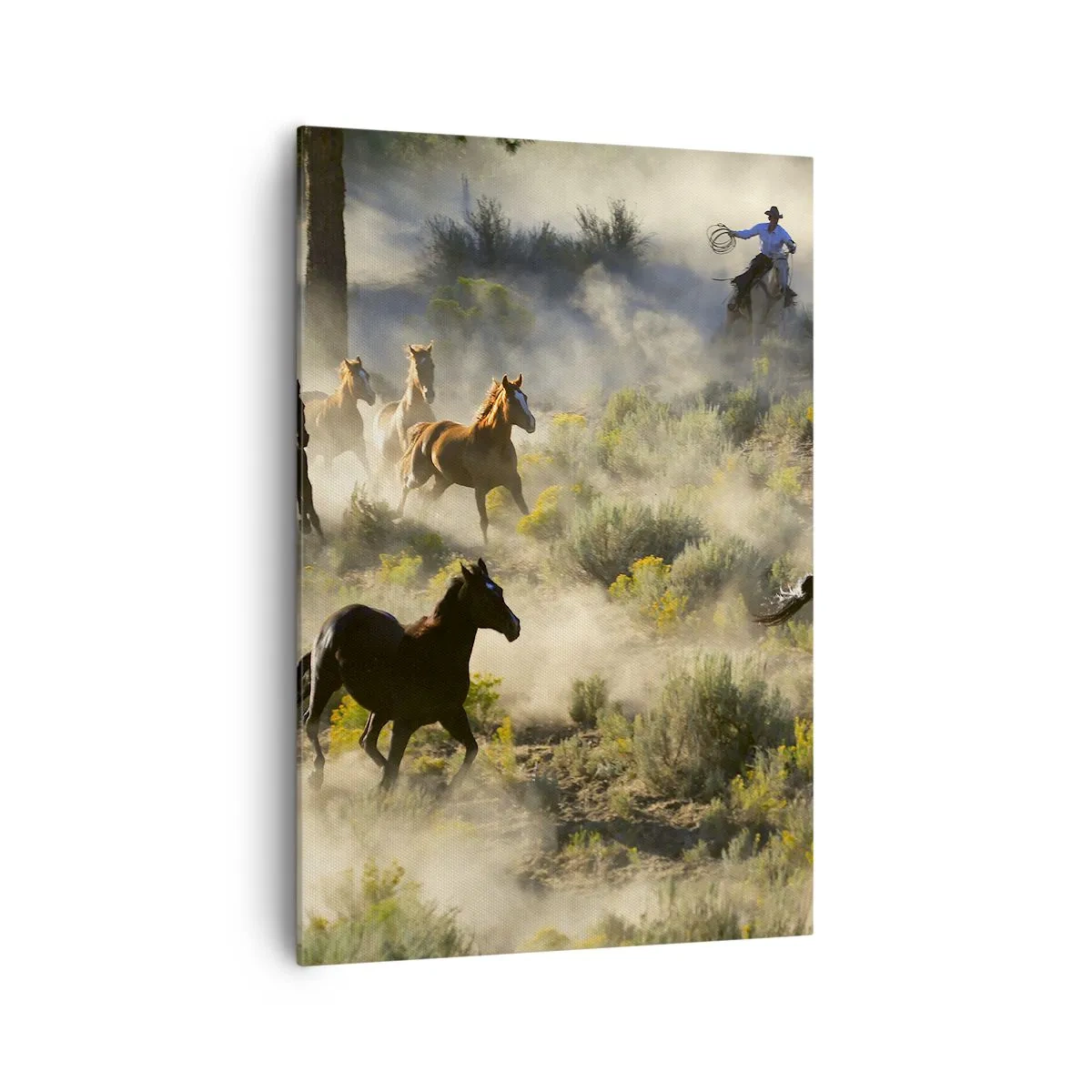 Lærredstryk - Billede på lærred - Rivalisering - frihed eller maskulin kraft? - 70x100 cm