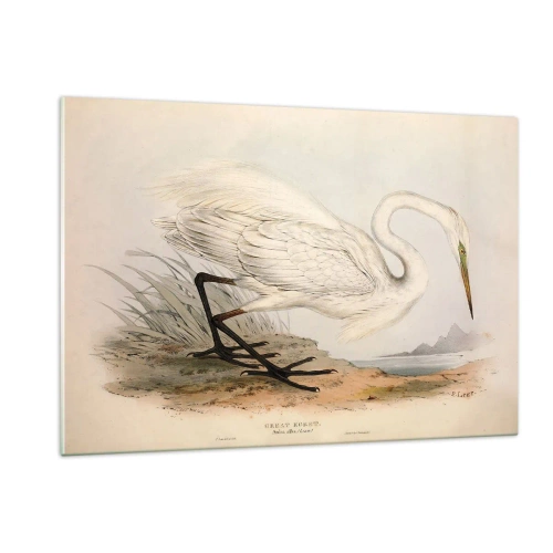 Billede på glas - Dame på sivene - 120x80 cm