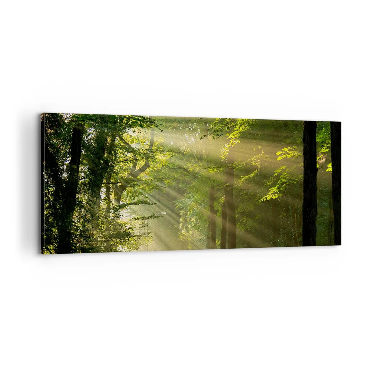 Lærredstryk - Billede på lærred - Øjeblik i skoven - 100x40 cm
