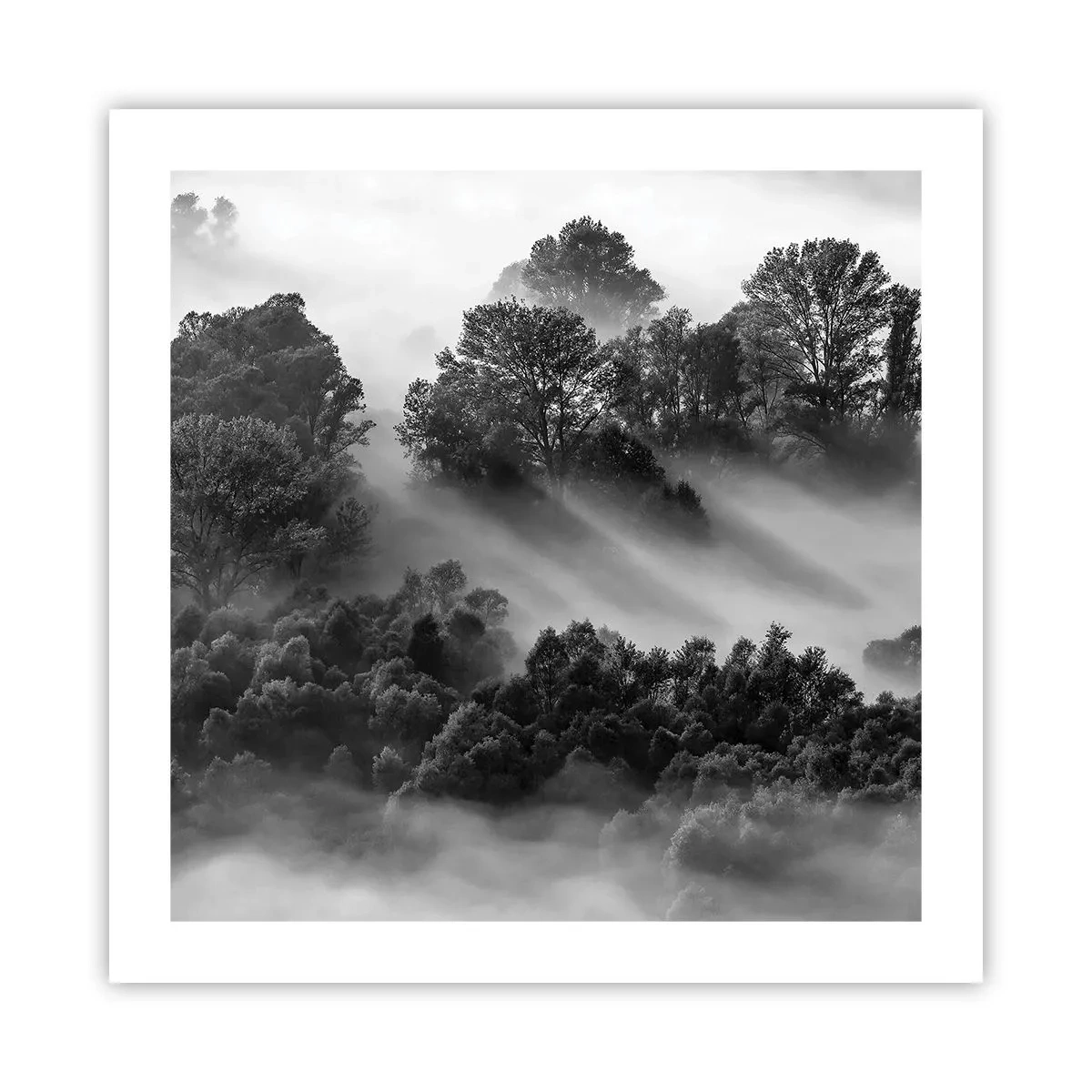 Plakat - At vågne fra søvnen - 50x50 cm