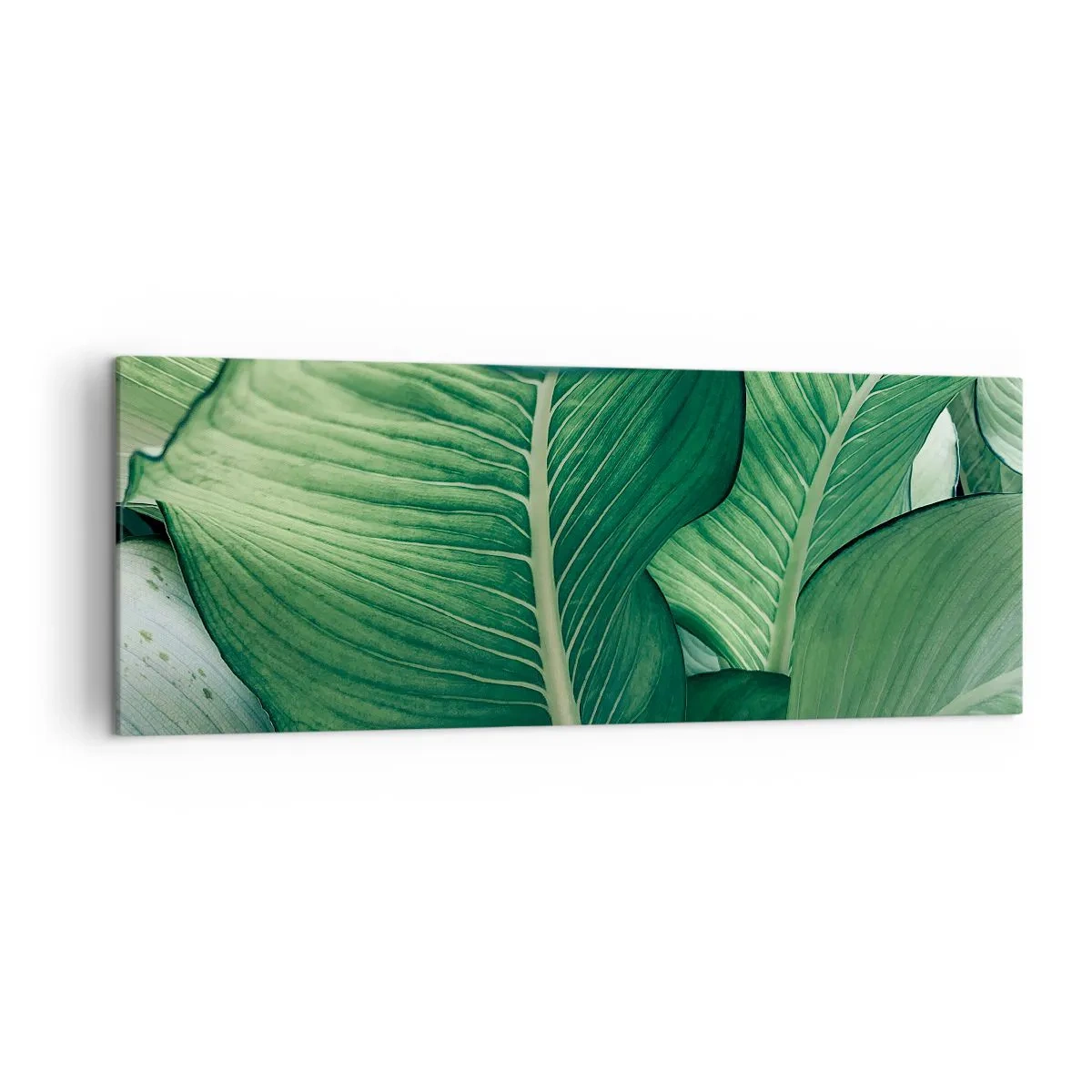 Lærredstryk - Billede på lærred - Livet er intenst grønt - 140x50 cm