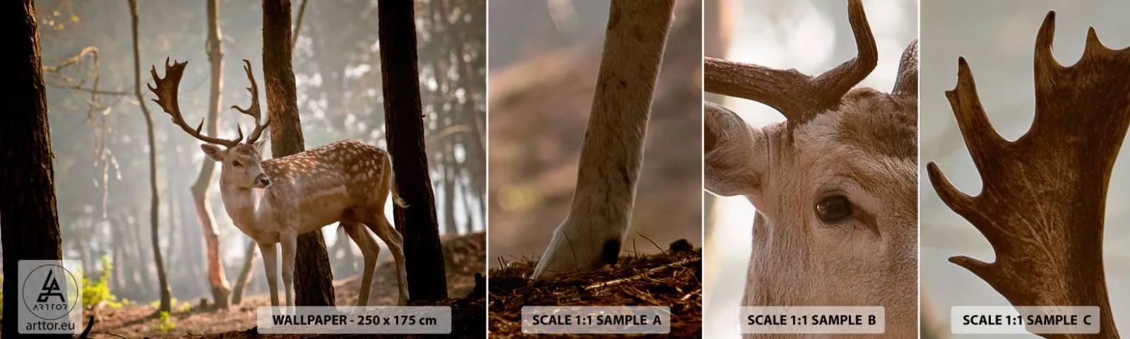 Fototapet Prøve Standard Eco - Ungdommens lys - Dyr, Hjort, Skov - 100x30 cm