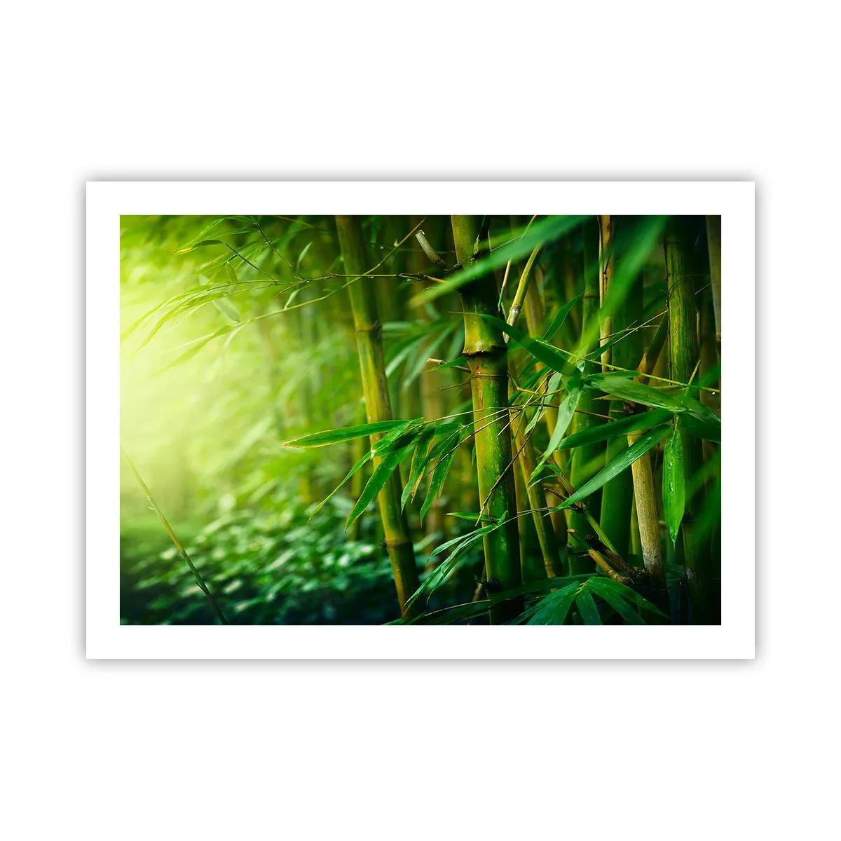 Plakat - Lær selve det grønne at kende - 70x50 cm