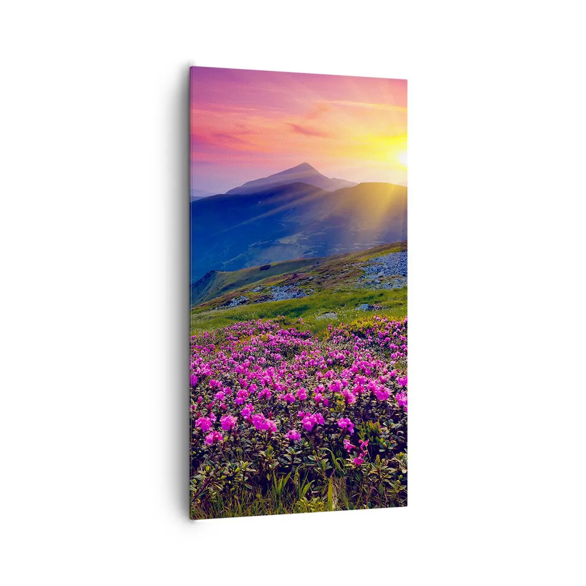 Lærredstryk - Billede på lærred - ... Og rundt omkring dufter det af fyrretræer og krydderurter - 65x120 cm