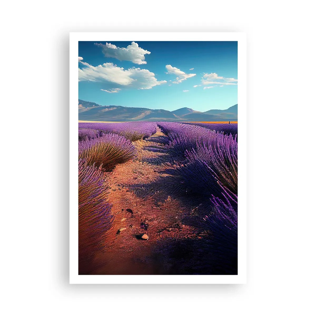Plakat - Duftende marker - 70x100 cm