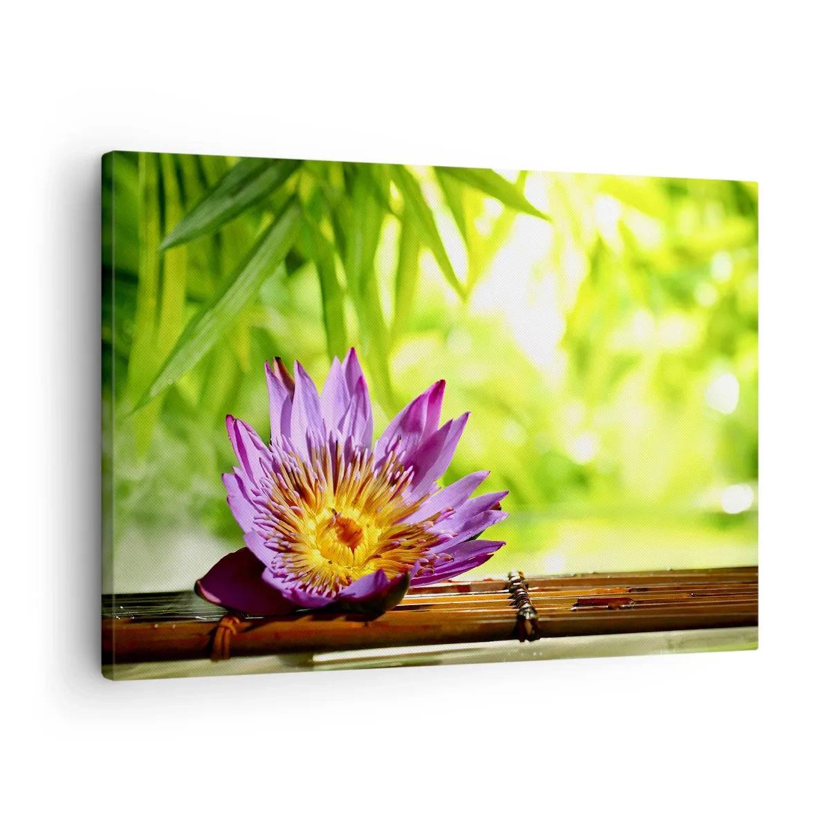 Lærredstryk - Billede på lærred - Lilla lotusblomst mod en baggrund af grønne bambusblade - 70x50cm - I det asiatiske solskin - Moderne vægdekoration til stue og soveværelse ARTTOR