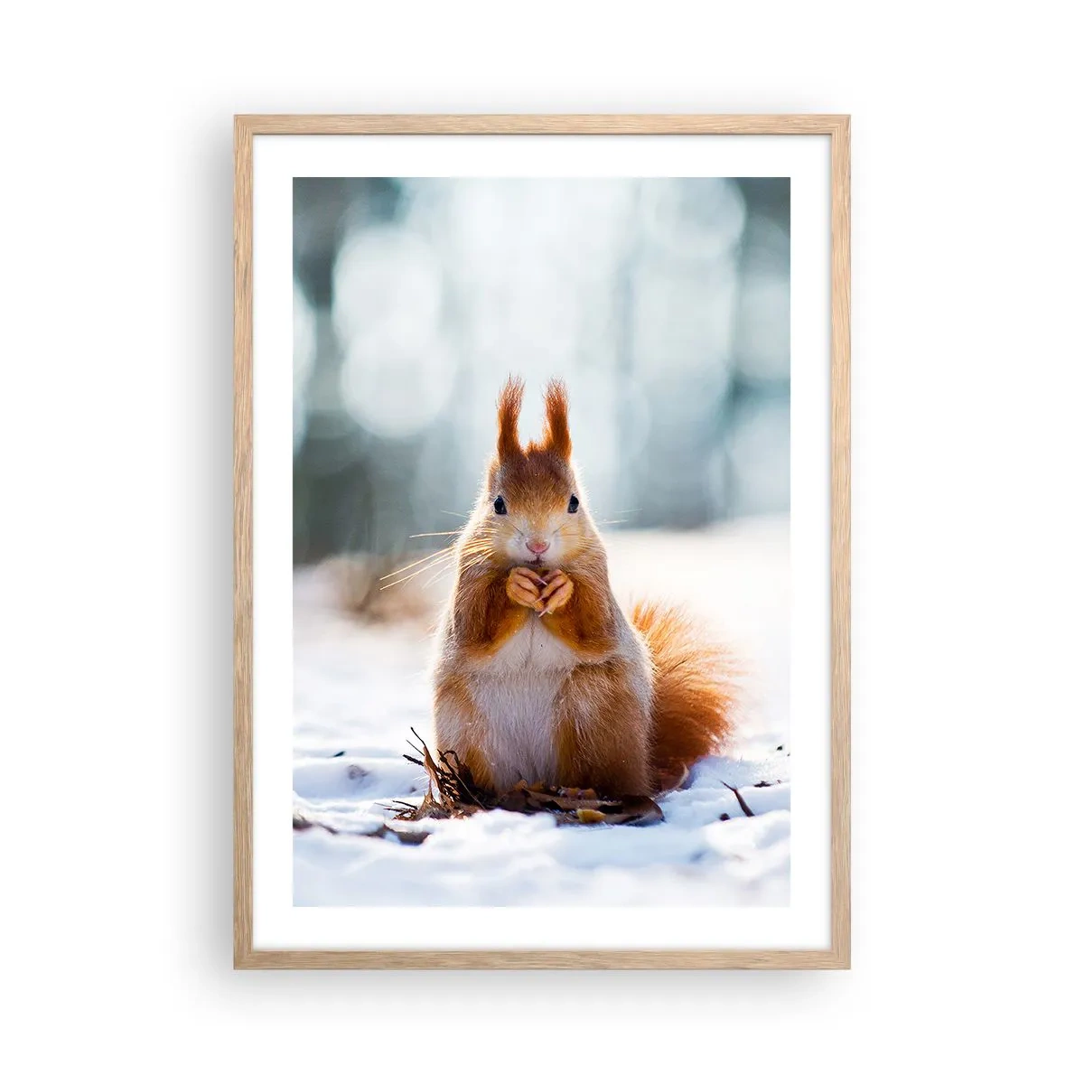 Plakat i ramme af lyst egetræ - Og hvad kigger du på? - 50x70 cm