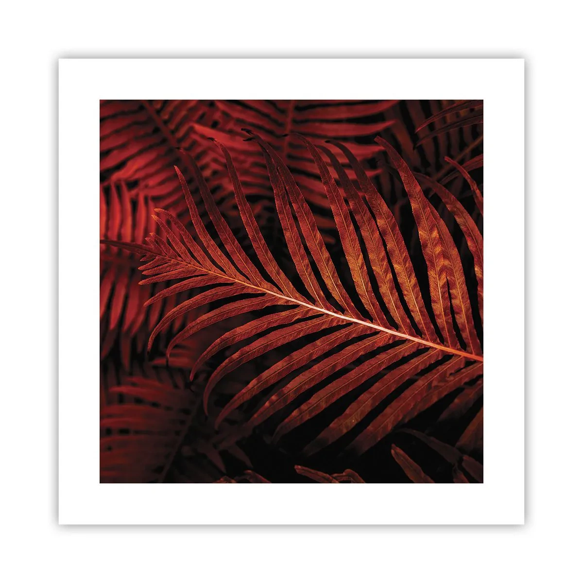 Plakat - Livets varme - 40x40 cm