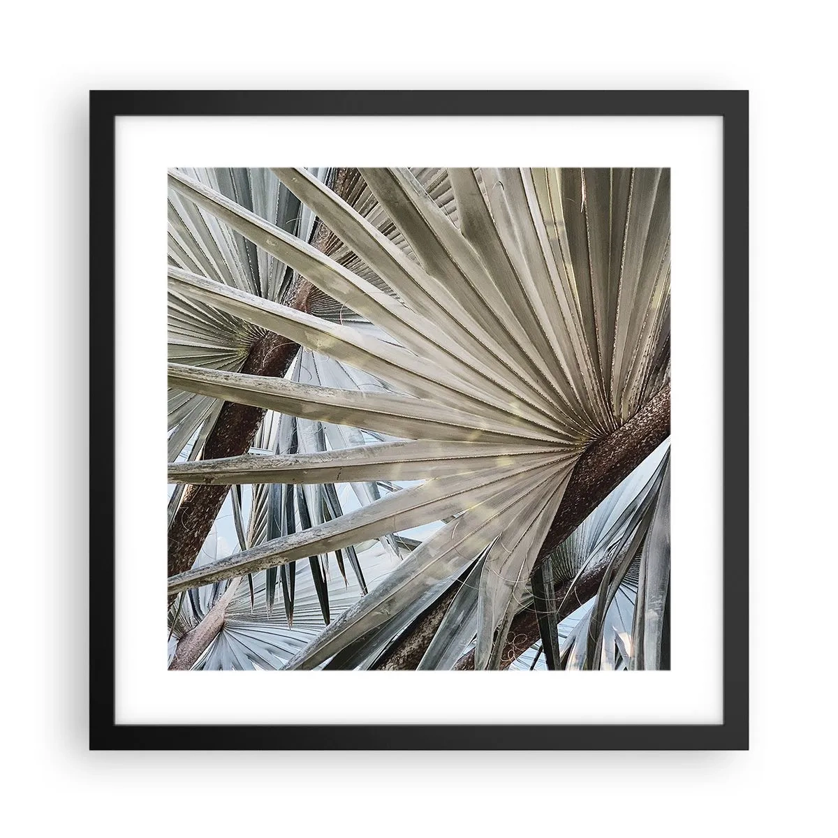 Plakat i sort ramme - Ventilatorer i troperne - 40x40 cm