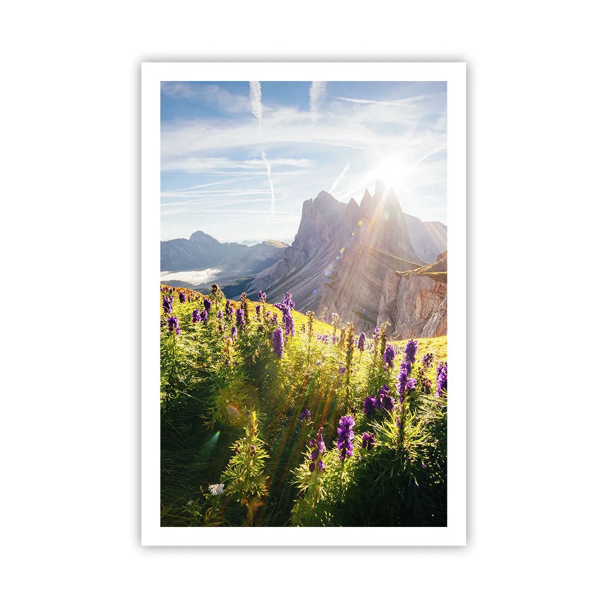 Plakat - Urternes hemmelige liv - 61x91 cm