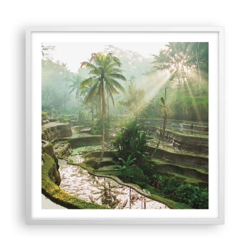 Plakat i hvid ramme - Voksende op i solen - 60x60 cm