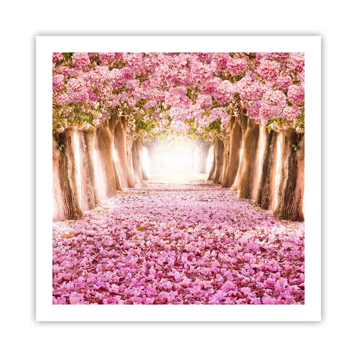 Plakat - Vejen til paradis - 60x60 cm