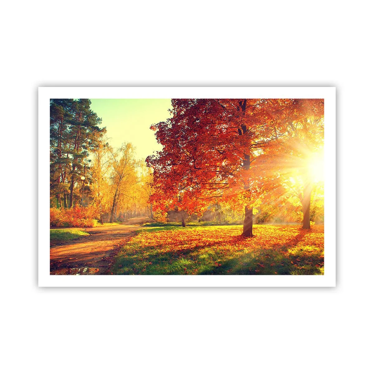 Plakat - Rød er smuk - 91x61 cm