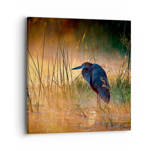 Lærredstryk - Billede på lærred - Giv mig en chance med disse billeder - 40x40 cm