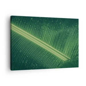 Lærredstryk - Billede på lærred - Et grønt blad med vanddråber på overfladen - 70x50cm - Grøn struktur - Moderne vægdekoration til stue og soveværelse ARTTOR
