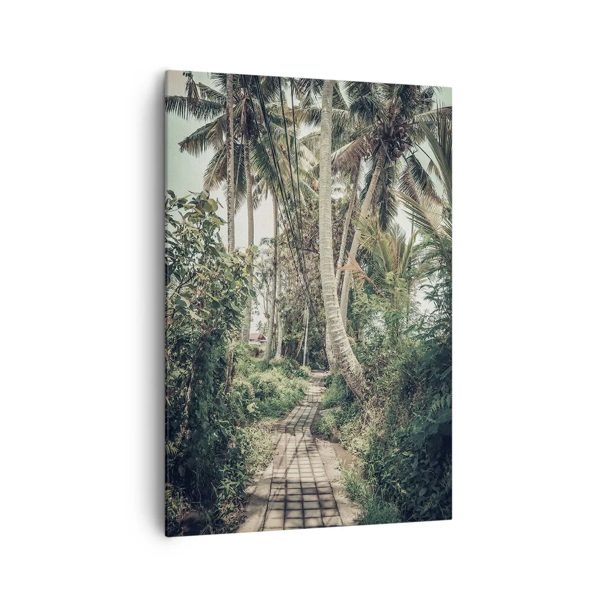 Lærredstryk - Billede på lærred - Palmeallé - 70x100 cm