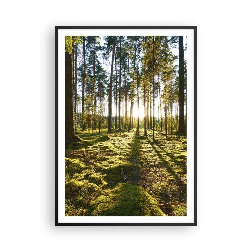 Plakat i sort ramme - ...Bag de syv skove - 70x100 cm