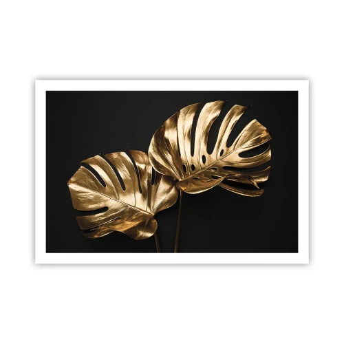 Plakat - Naturens skatte - 91x61 cm