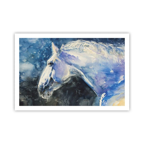 Plakat - Portræt i et blåt skær - 91x61 cm