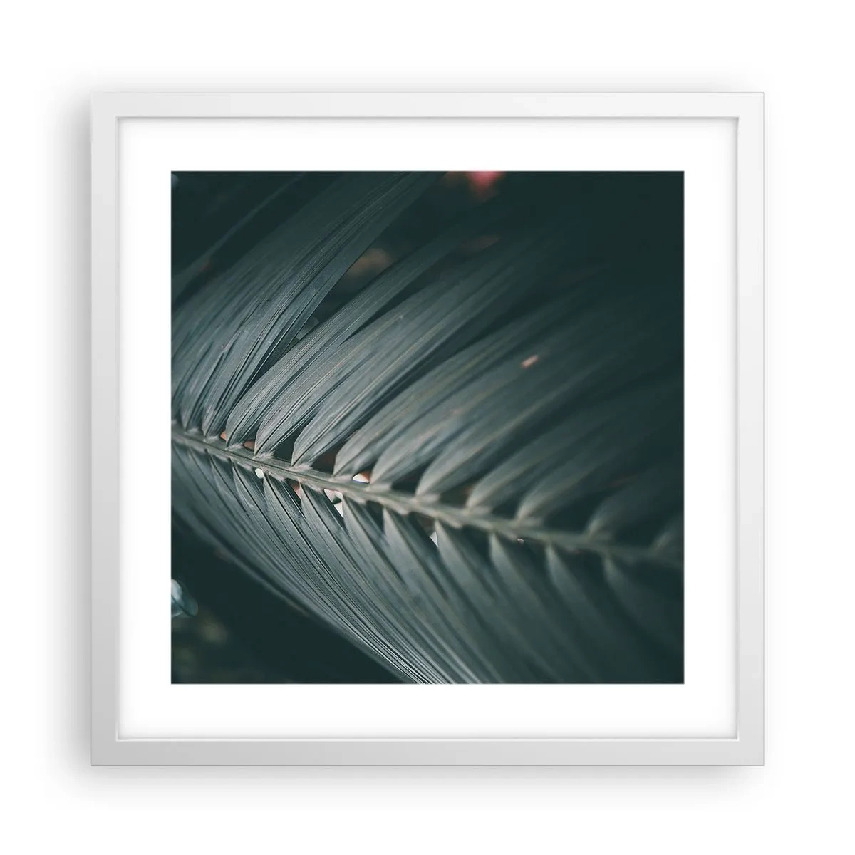 Plakat i hvid ramme - Naturens præcision - 40x40 cm