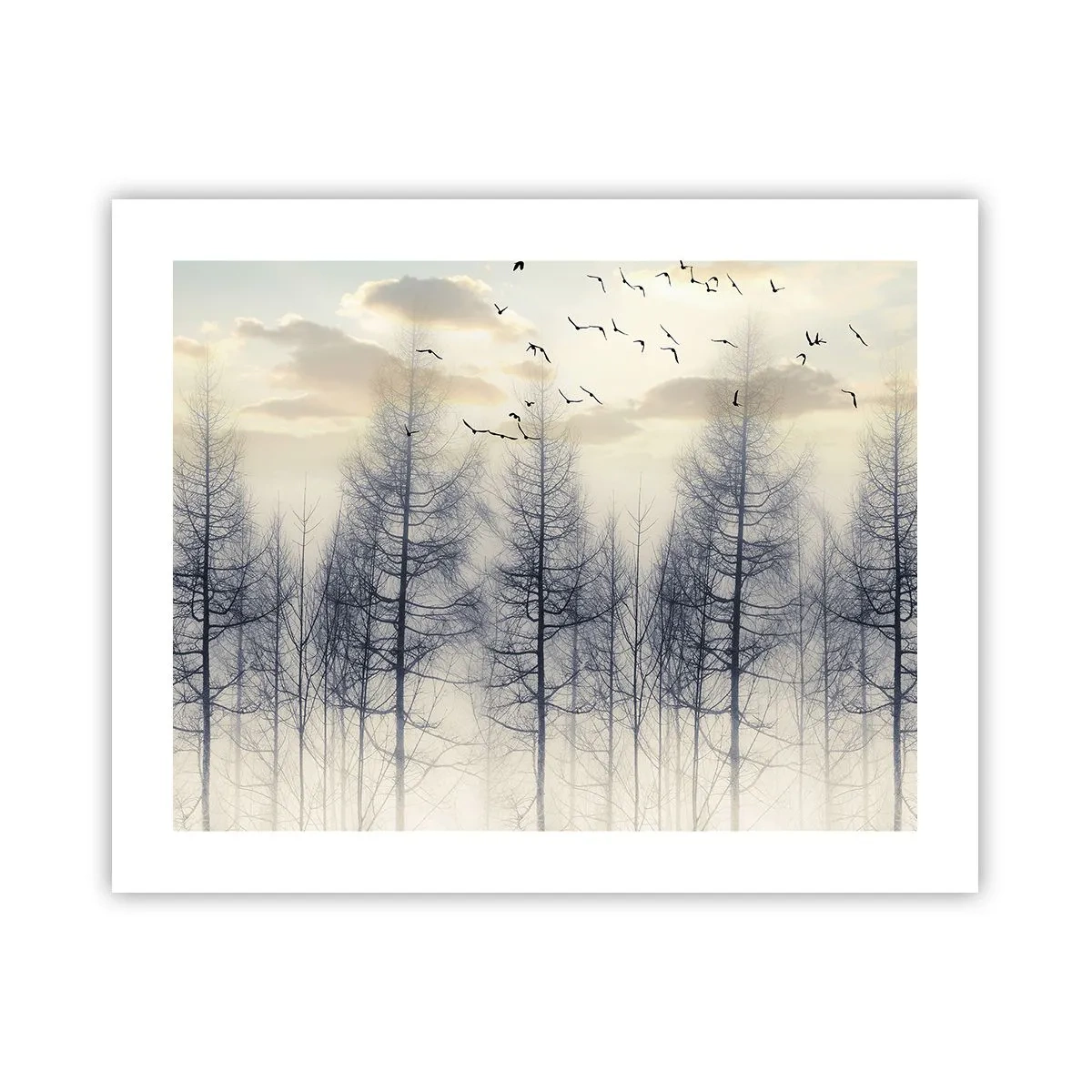 Plakat - Skovånder - 50x40 cm