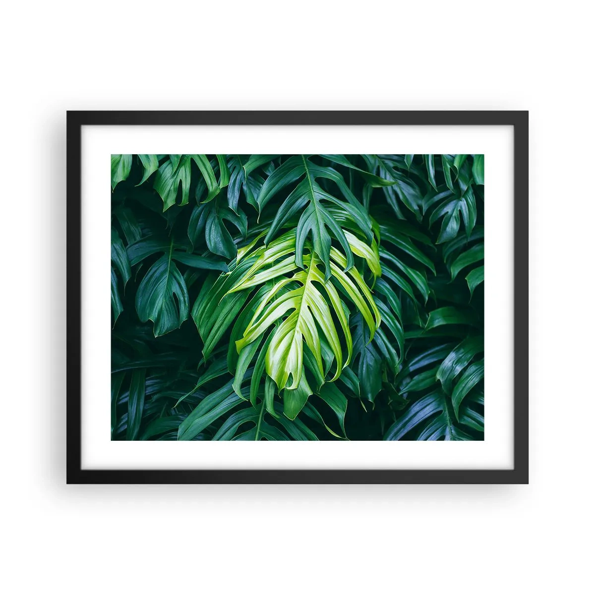 Plakat i sort ramme - Fordyb dig i friskhed - 50x40 cm