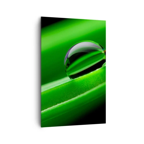 Lærredstryk - Billede på lærred - Livet på tæt hold - 80x120 cm