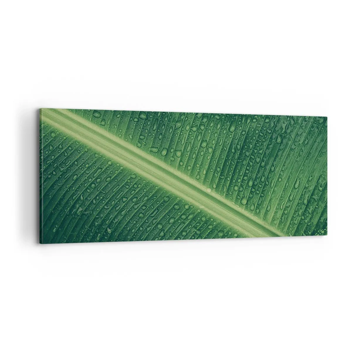 Lærredstryk - Billede på lærred - Grøn struktur - 100x40 cm