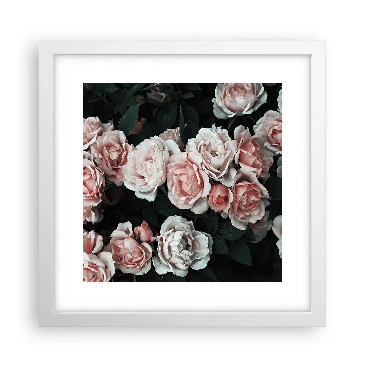 Plakat i hvid ramme - Lyserød ansamble - 30x30 cm