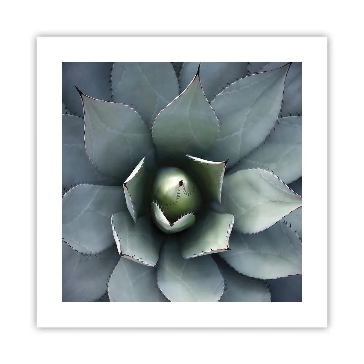 Plakat - Lokkemad og advarsler - 40x40 cm