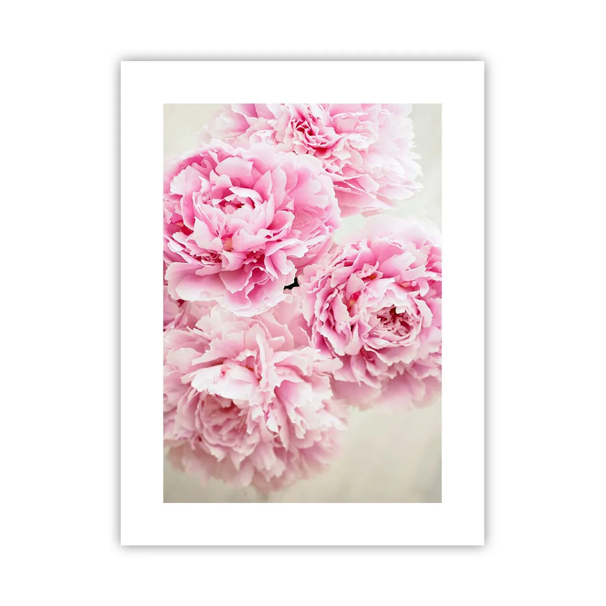 Plakat - I lyserød glamour - 30x40 cm