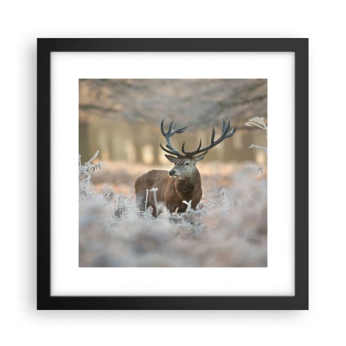 Plakat i sort ramme - En frisk morgen - 30x30 cm