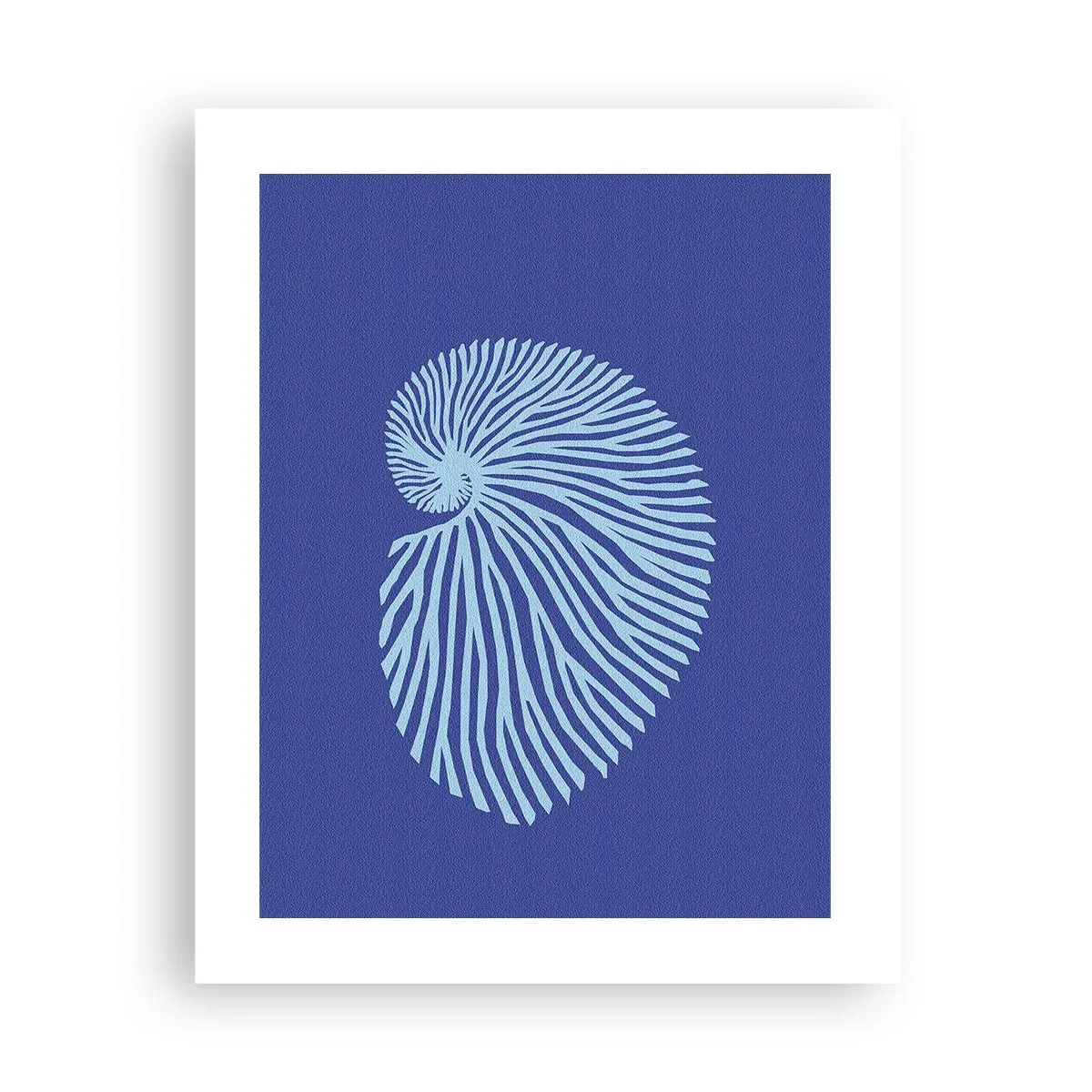 Plakat - Fødsel af en skal - 40x50 cm