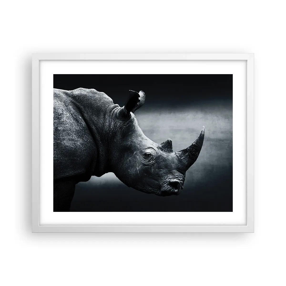 Plakat i hvid ramme - Højre profil - 50x40 cm