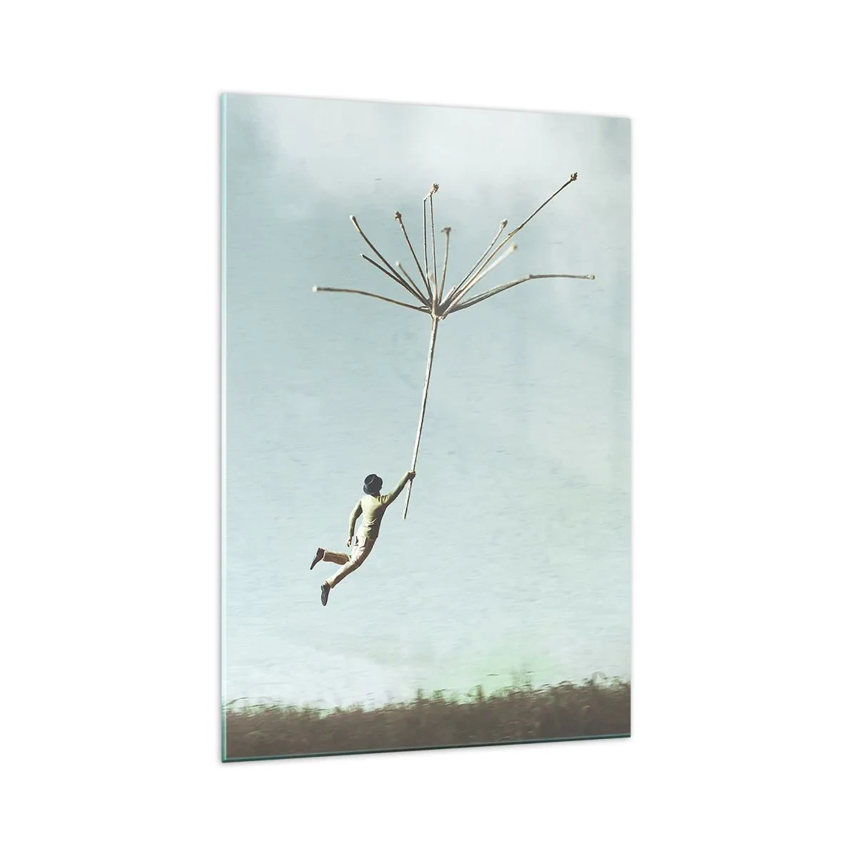 Billede på glas - Drager, blæsere, vind - 70x100 cm