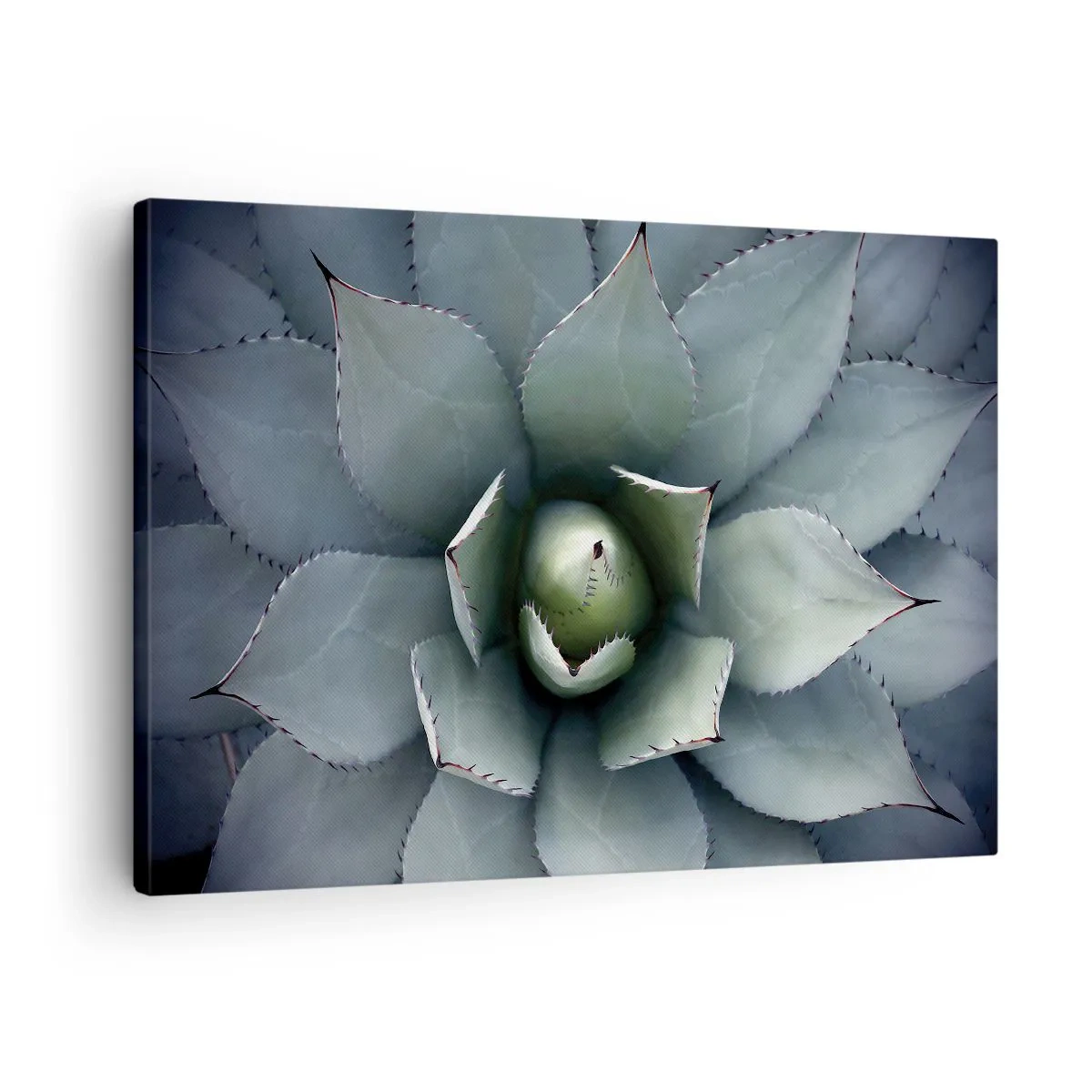 Lærredstryk - Billede på lærred - Nærbillede af en agaveroset i sarte grønne nuancer - 70x50cm - Lokkemad og advarsler - Moderne vægdekoration til stue og soveværelse ARTTOR