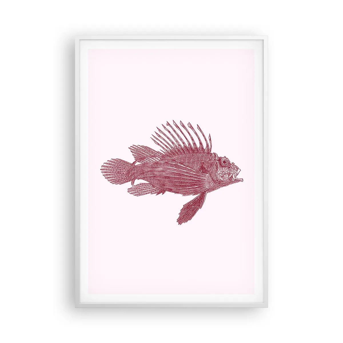 Plakat i hvid ramme - En beboer i eksotiske farvande - 70x100 cm