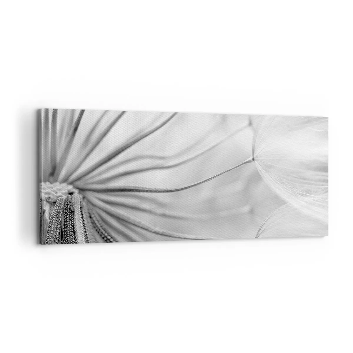 Lærredstryk - Billede på lærred - Blæsende drager - 100x40 cm
