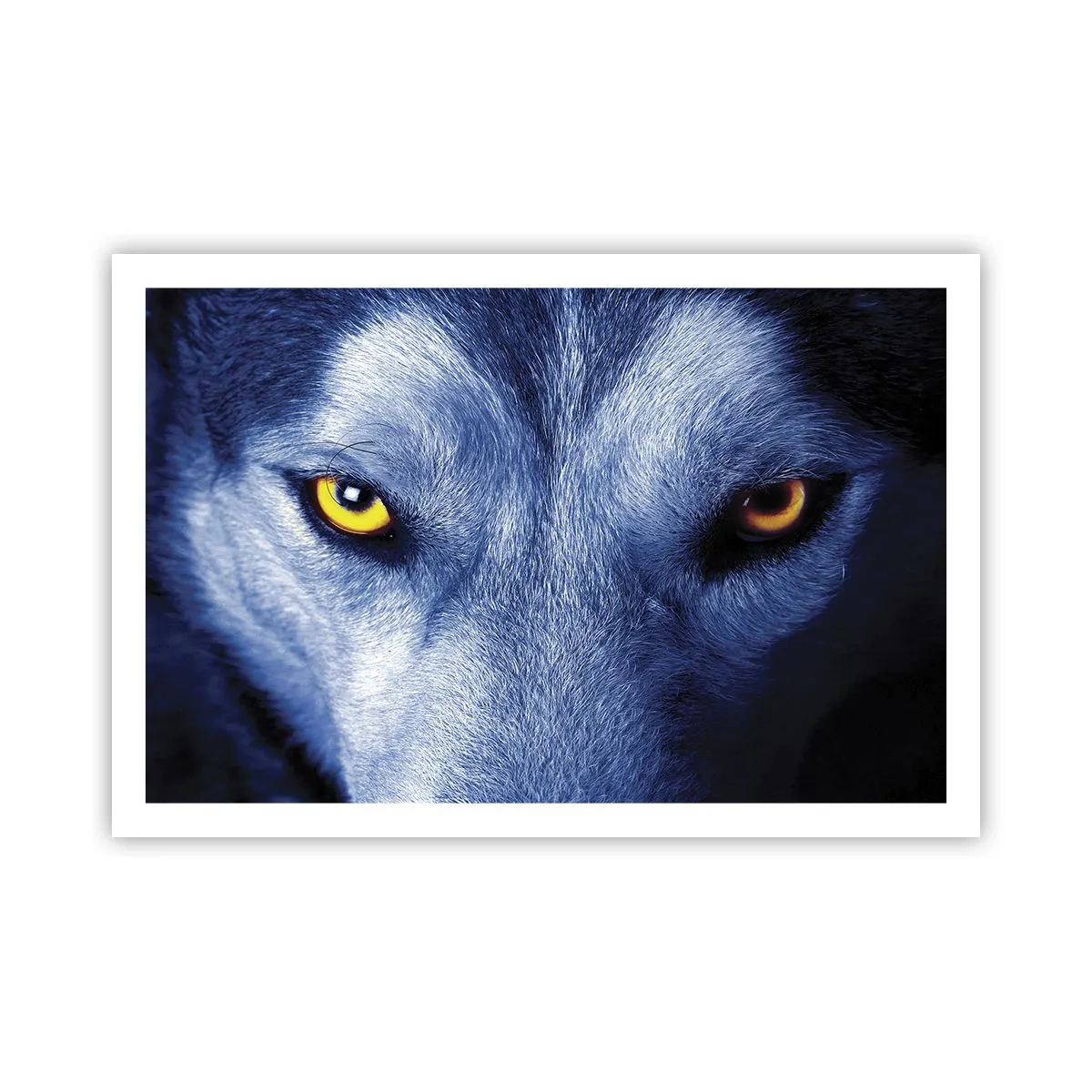 Plakat - Et hypnotiserende udseende - 91x61 cm